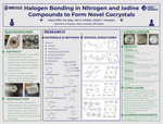 Halogen Bonding in Nitrogen and Iodine Compounds to Form Novel Cocrystals